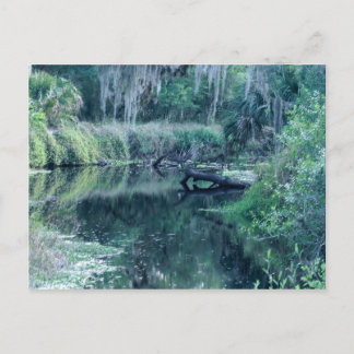 Log in River Postcard