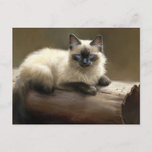 Log Lounger Siamese Kitten Postcard (Front)