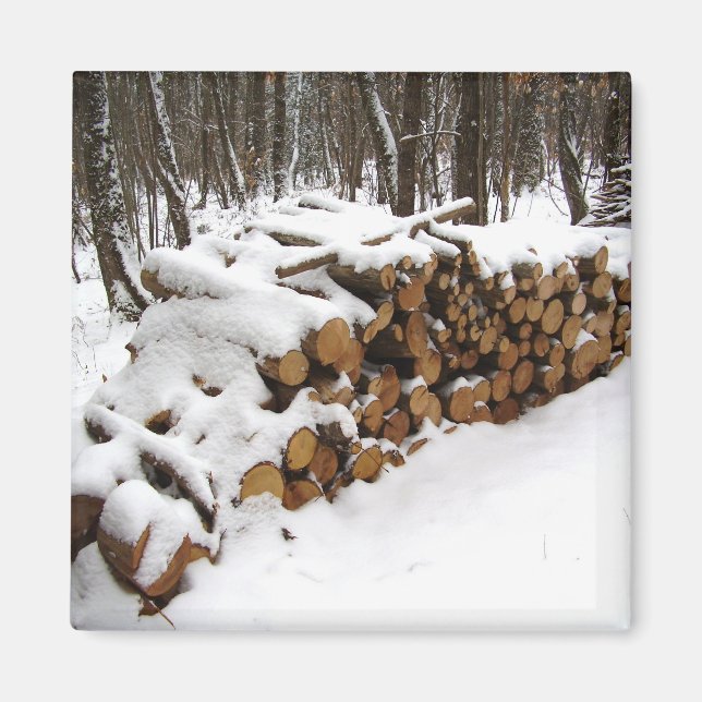 Log Pile in the Woods Magnet (Front)