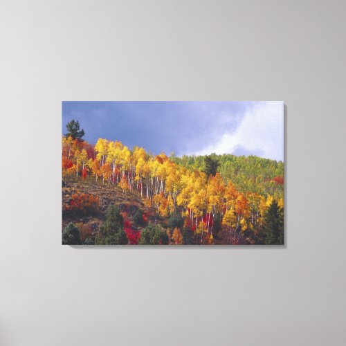Logan Canyon in Utah in autumn with passing Canvas Print