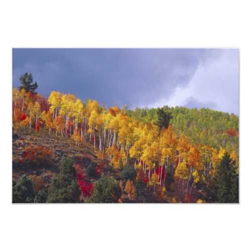 Logan Canyon in Utah in autumn with passing Photo Print