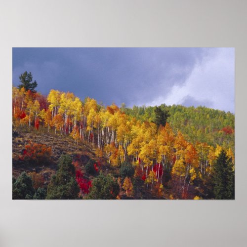 Logan Canyon in Utah in autumn with passing Poster
