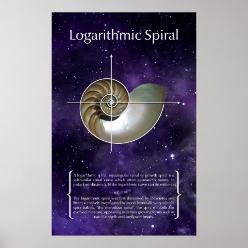 Logarithmic Spiral Poster
