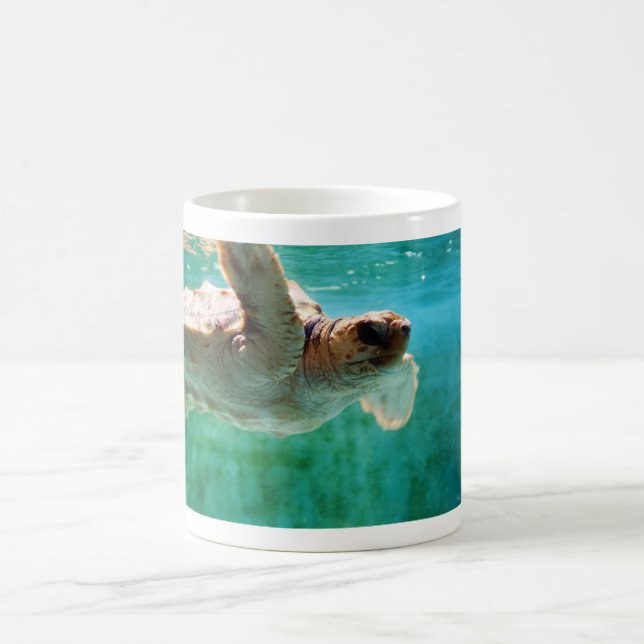 Loggerhead #1 Mug (Center)