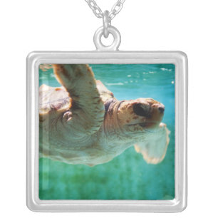 Loggerhead #1 Necklace