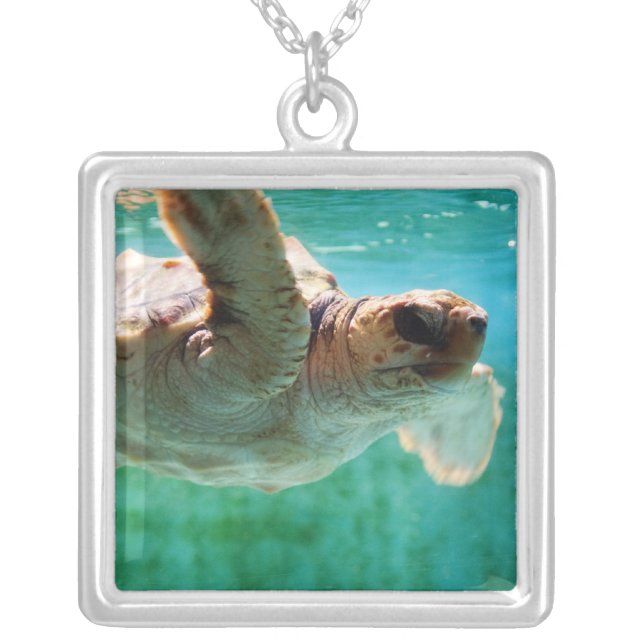 Loggerhead #1 Necklace (Front)