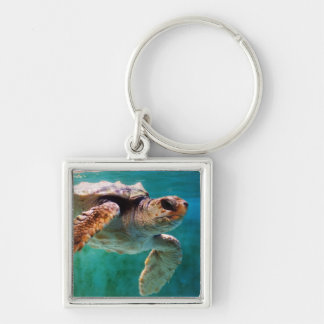Loggerhead #2 Keychain