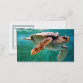 Loggerhead #2 Mini Print Business Card (Front/Back)