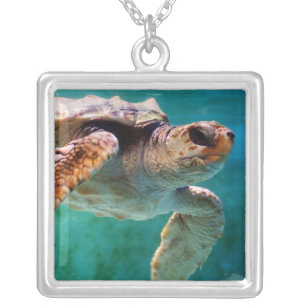 Loggerhead #2 Necklace