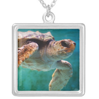 Loggerhead #2 Necklace