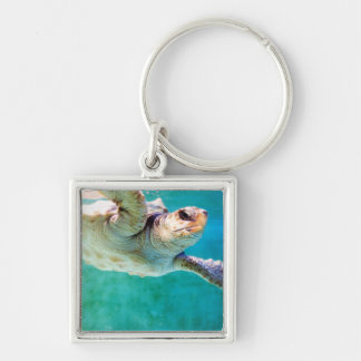 Loggerhead #3 Keychain