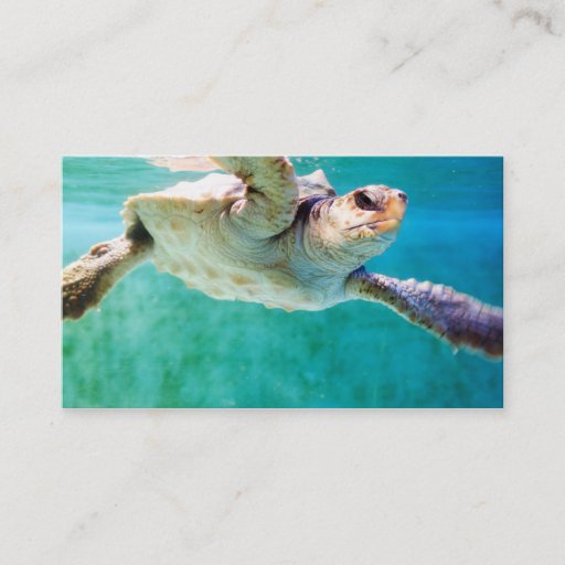 Customizable Loggerhead #3 Mini Print Business Cards