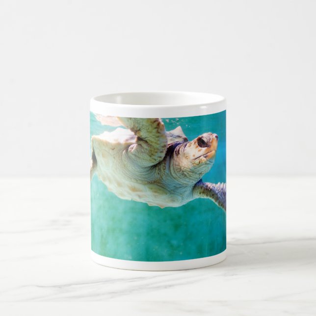 Loggerhead #3 Mug (Center)