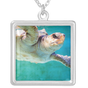 Loggerhead #3 Necklace