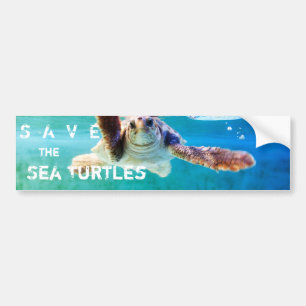 Loggerhead #4 Bumper Sticker