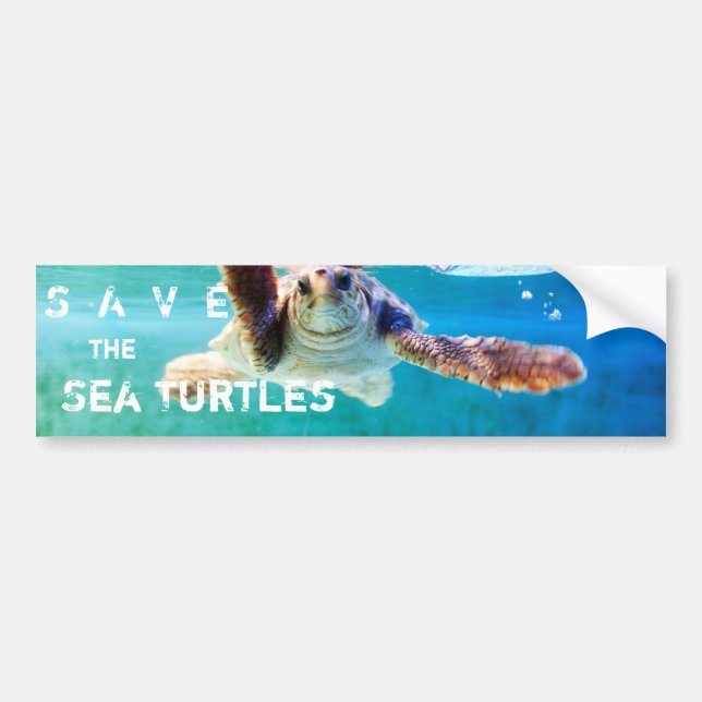 Loggerhead #4 Bumper Sticker (Front)