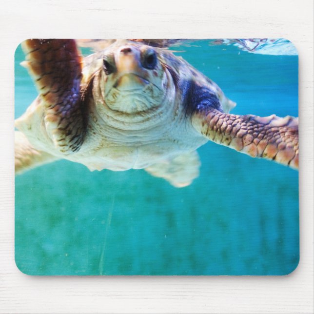 Loggerhead #4 Mousepad (Front)