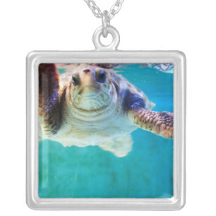 Loggerhead #4 Necklace