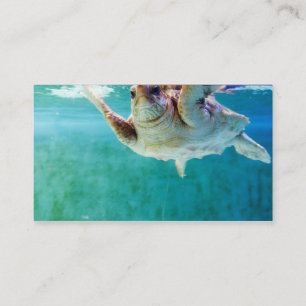 Loggerhead #5 Mini Print Business Card