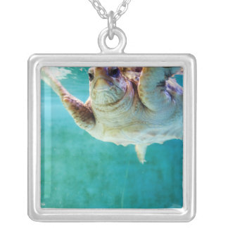 Loggerhead #5 Necklace