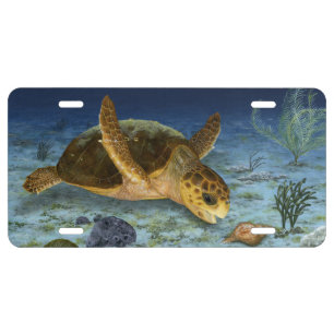 Loggerhead in Habitat License Tag Plate
