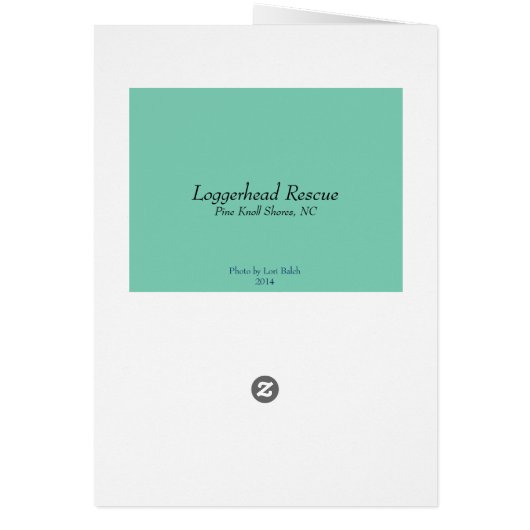 Loggerhead Rescue Cards (Back)
