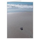 Loggerhead Rescue Cards (Front)