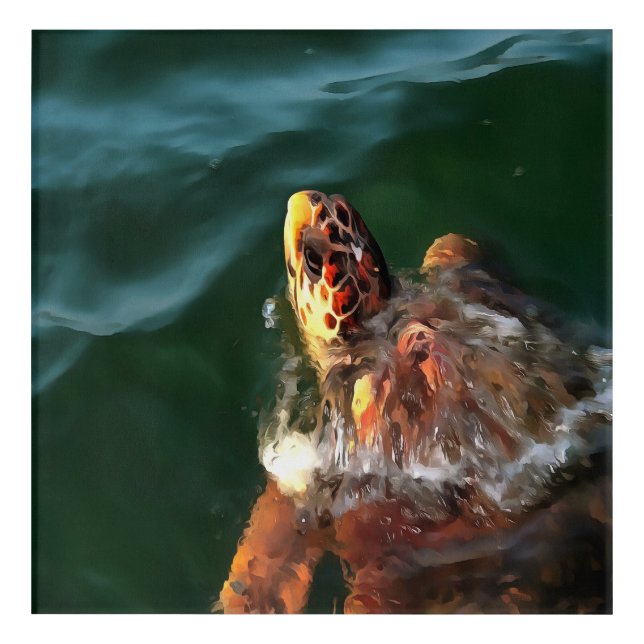 Loggerhead Sea Turtle Artistic Portrait Acrylic Print (Front)