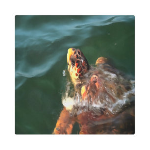 Loggerhead Sea Turtle Artistic Portrait Metal Print
