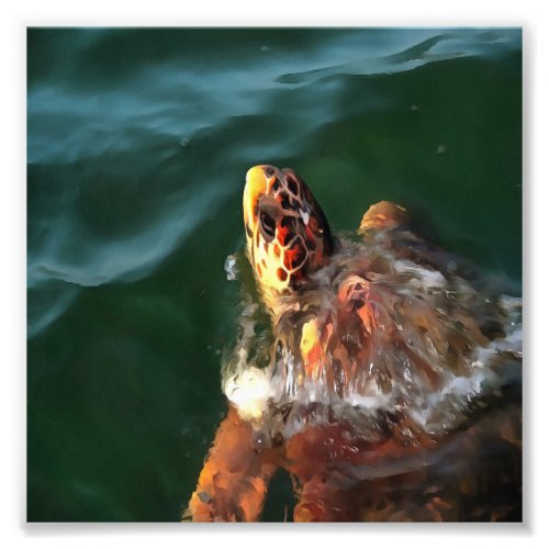 Loggerhead Sea Turtle Artistic Portrait Photo Print