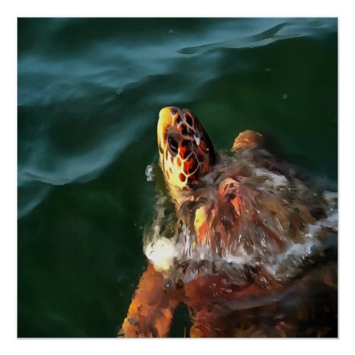 Loggerhead Sea Turtle Artistic Portrait Poster