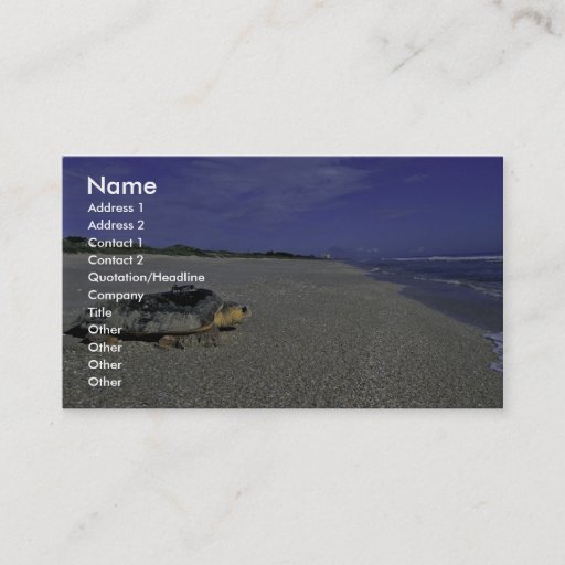 Customizable Loggerhead Sea Turtle at Archie Carr National Wild Business Card