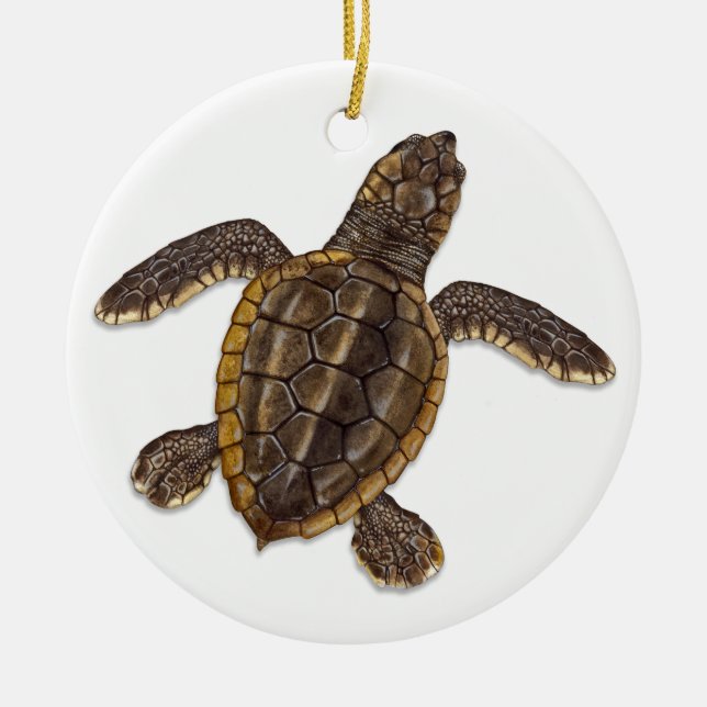 Loggerhead Sea Turtle Hatchling Ornament (Front)