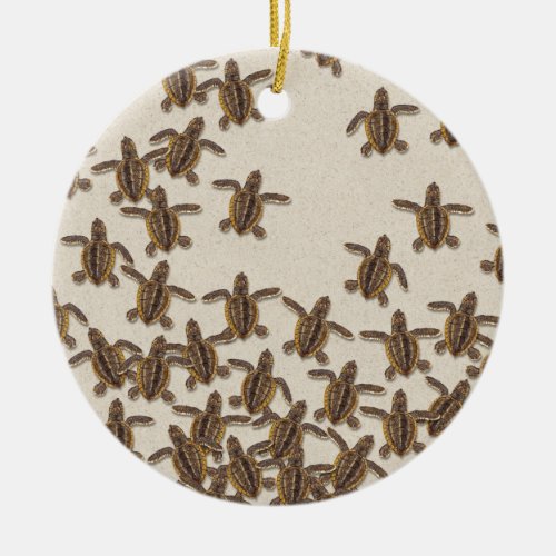 Loggerhead Sea Turtle Hatchlings Ornament