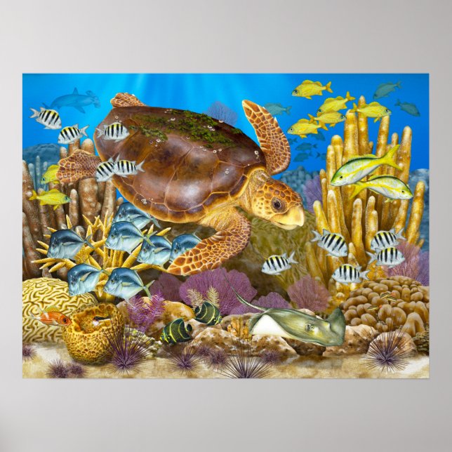 Loggerhead Sea Turtle Over Reef Poster (Front)