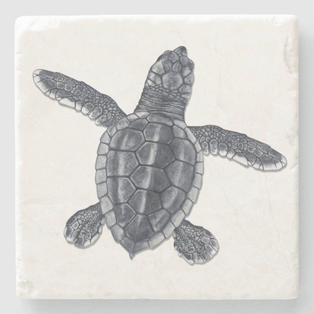 Loggerhead Sea Turtle Stone Coaster (Front)