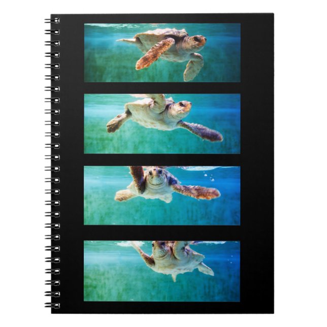 Loggerhead Sea Turtle Study  Notebook (Front)