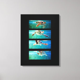 Loggerhead Sea Turtle Study Wrapped Canvas Print