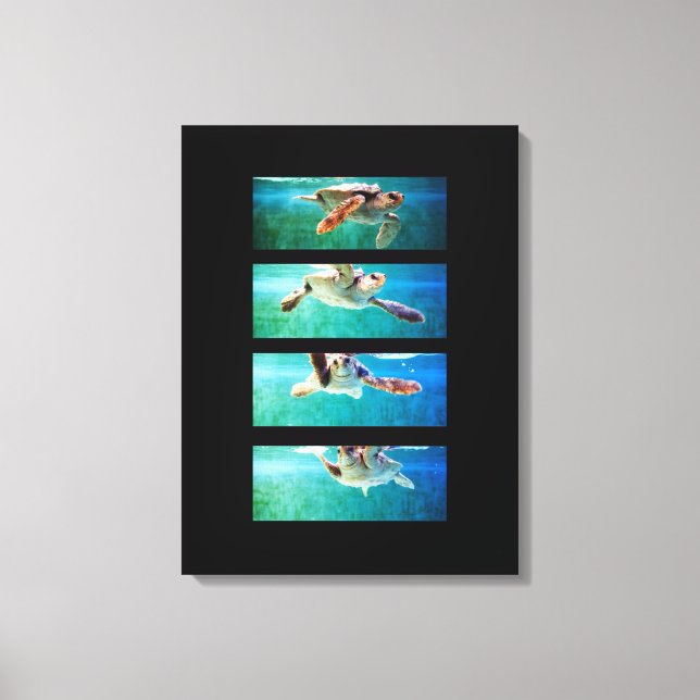 Loggerhead Sea Turtle Study Wrapped Canvas Print (Front)