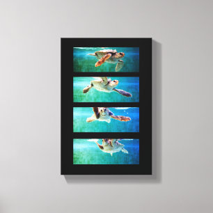 Loggerhead Sea Turtle Study Wrapped Canvas Print