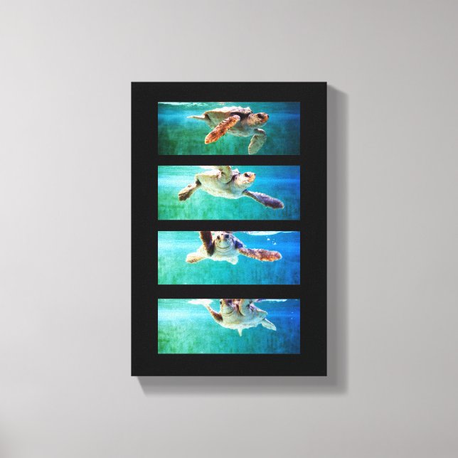 Loggerhead Sea Turtle Study Wrapped Canvas Print (Front)