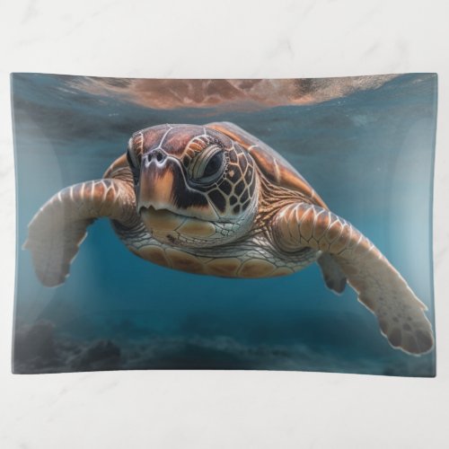 Loggerhead Sea Turtle Trinket Tray