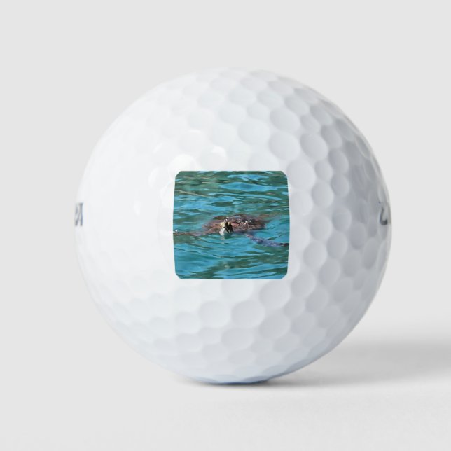 Loggerhead Sea Turtle Wildlife Art Golf Balls (Front)