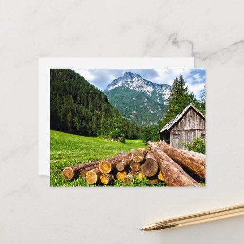 Logging Camp in the Forest with Mountains Postcard