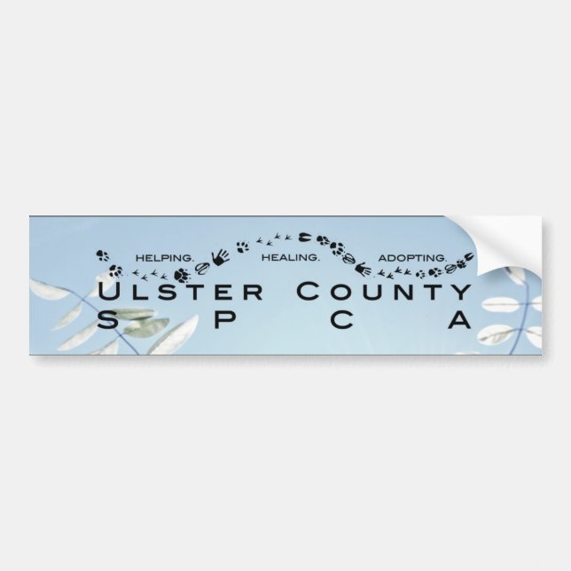 LOGO Bumper Sticker (Front)