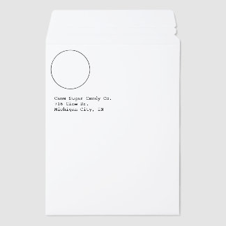Logo Business Promotional Envelope Return Address Mailers