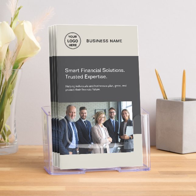 Logo Professional Financial Services Business Brochure (Insitu)