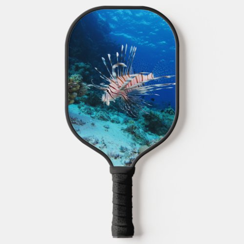 Loinfish is Saltwater Ocean Wildlife Reef Fish Pickleball Paddle