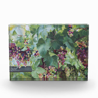 Loire Valley Vineyard – French Grape Painting Photo Block
