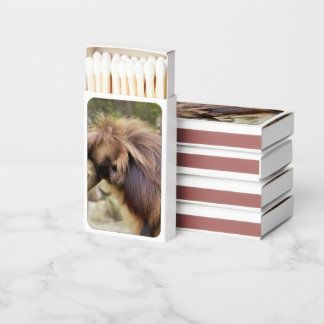 Loitering Monkey Matchboxes